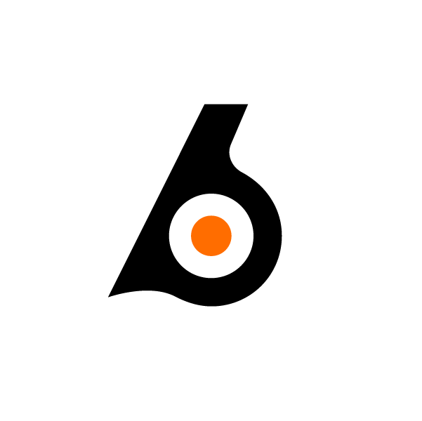 Birdeye API